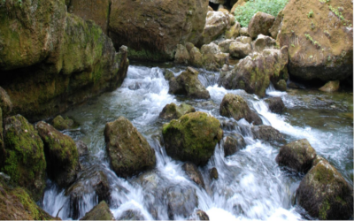 Etat des nappes d’eau souterraine de la Bretagne – Déc 2024